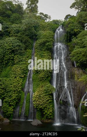 Tenez-vous devant les cascades jumelles du nord de Bali et assistez à leur descente gracieuse, capturée dans une exposition longue et fascinante. Les eaux qui coulent, ressemblaient Banque D'Images