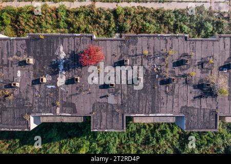 Szentkiralyszabadja, Hongrie - vue aérienne sur un quartier résidentiel abandonné, ressemble à une ville fantôme apocalyptique. Banque D'Images