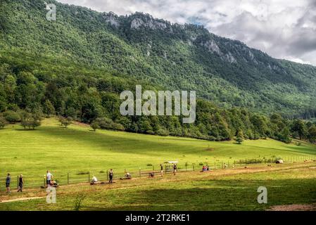 Muran, Slovaquie - 1 août 2023 : touristes nourrissant Spermophilus dans un pré rempli d'écureuils terrestres Banque D'Images
