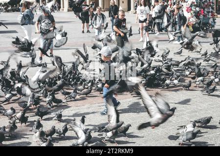 Cracovie, Pologne - 10 août 2023 : troupeau de pigeons et petit garçon sur la place principale de la ville de Cracovie Banque D'Images