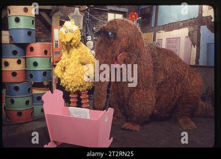 Une photo de 1977 de répétitions sur le plateau de Sesame Street montrant Big Bird (Carroll Spinney) faisant une scène avec M. Snuffleupagus (Jerry Neslon). Dans l'Upper West Side de Manhattan. Banque D'Images