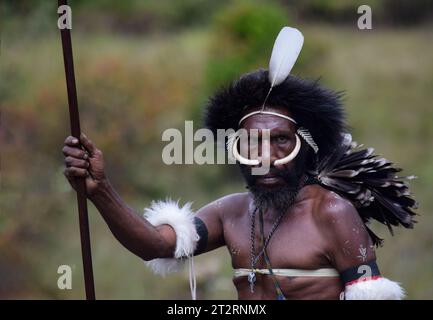 Guerrier de la tribu Dani dans la vallée de Baliem Banque D'Images