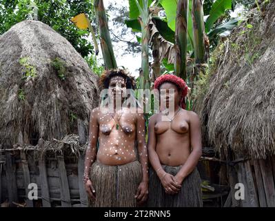 Les femmes de la tribu Dani devant leur hutte Banque D'Images