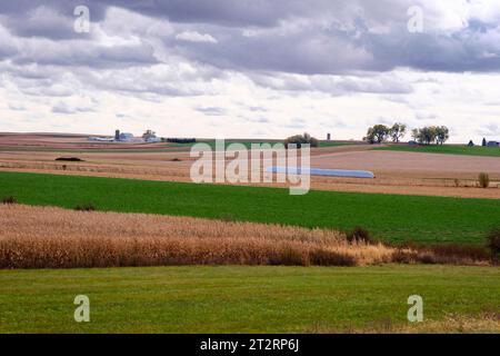 Iowa Cornfield prêt pour la récolte (premier plan) et récolté (arrière-plan), Dyersville, Iowa, États-Unis. Banque D'Images