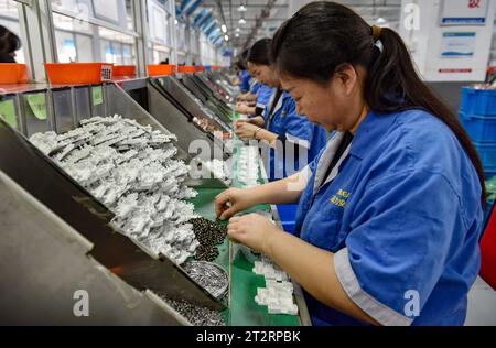 Fuyang, Chine. 18 octobre 2023. Les femmes portant des combinaisons bleues travaillent sur la chaîne de montage d'une usine qui produit du matériel électrique. Le produit intérieur brut de la Chine a augmenté de 4,9 pour cent en glissement annuel au troisième trimestre, après une hausse de 6,3 pour cent au deuxième trimestre, affichant une reprise régulière malgré les pressions à la baisse, a déclaré mercredi le Bureau national des statistiques. Au cours des trois premiers trimestres, le PIB de la Chine a augmenté de 5,2 pour cent pour atteindre 91,3 billions de yuans (12,5 billions de dollars), après une croissance de 5,5 pour cent au premier semestre de l'année, a déclaré le bureau. (Image de crédit : © Sheldon Cooper/SOPA Images via Z) Banque D'Images