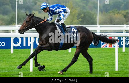 Ascot, Berkshire, Royaume-Uni. Samedi 21 octobre 2023. Big Rock et le jockey Aurelien Lemaitre remportent les Queen Elizabeth II Stakes (sponsorisés par QIPCO) Groupe 1 pour l’entraîneur Christopher Head et le propriétaire Yeguada Centurion SLU. Crédit JTW Equine Images / Alamy Live News Banque D'Images