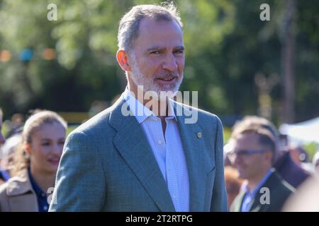 Arroes, Espagne, 21 octobre 2023 : le roi Felipe VI lors du Prix du peuple exemplaire des Asturies 2023, le 21 octobre 2023, à Arroes, Espagne. Crédit : Alberto Brevers / Alamy Live News. Banque D'Images