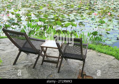 Paire de chaises en bois sur les nénuphars Pondside Banque D'Images