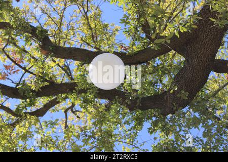 Garlands Re-Do Town Square plus quelques visiteurs royaux Banque D'Images