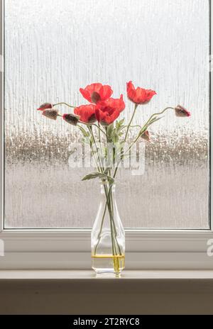 ed coquelicots dans un vase posé sur un fond de verre givré. Banque D'Images