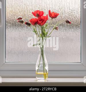 ed coquelicots dans un vase posé sur un fond de verre givré. Banque D'Images