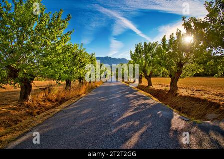 Paysage de Cézanne / Sud-Ouest vue de la montagne Sainte-victoire & route de campagne à Beaurecueil près d'Aix-en-Provence - Provence - France Banque D'Images