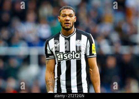 21 octobre 2023 ; St James' Park, Newcastle, Angleterre ; Premier League football, Newcastle United contre Crystal Palace ; Joelinton de Newcastle United Banque D'Images