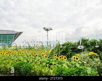 Singapour, aéroport de Changi Banque D'Images