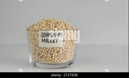 Gros plan des grains de millet de sorgho conservés dans un bol en verre avec étiquette dessus et remplis à ras bord, mettant en évidence les grains minuscules et dorés avec une terre riche Banque D'Images