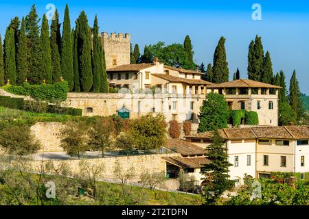 Castello di Verrazano Vineyard, Chianti Classico, région du Chianti, Toscane centrale, Italie, Europe Banque D'Images