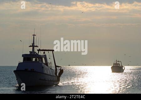 Chalutier de pêche retour au Grau du Roi, Gard, Languedoc-Roussillon, France Banque D'Images