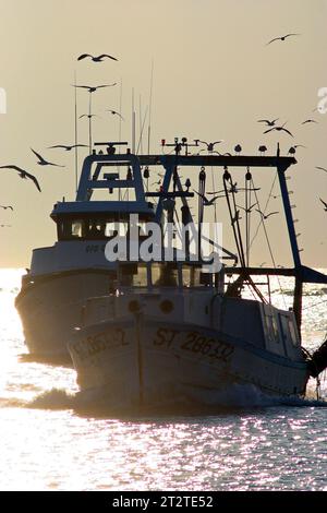 Chalutier de pêche retour au Grau du Roi, Gard, Languedoc-Roussillon, France Banque D'Images