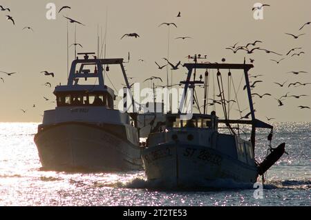 Chalutier de pêche retour au Grau du Roi, Gard, Languedoc-Roussillon, France Banque D'Images