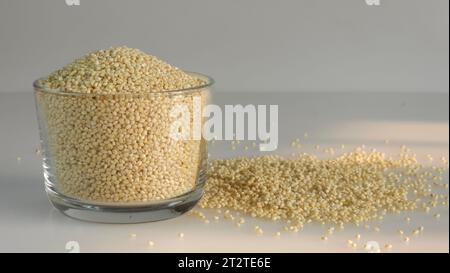 Millet proso, minuscules graines rondes avec une teinte dorée conservées dans un bol en verre rempli à ras bord. Aliment de base nutritif sans gluten et polyvalent, adapté à lui Banque D'Images