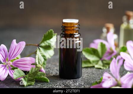 Une bouteille d'huile essentielle de mauve commune avec des brindilles de malva sylvestris en fleurs Banque D'Images