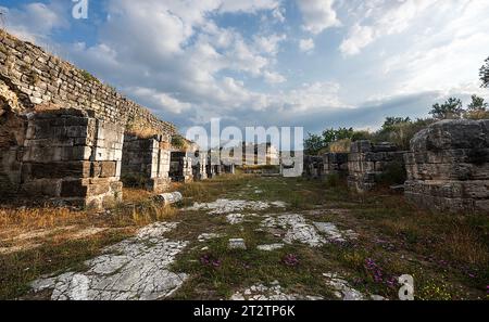 Miletus est une ancienne ville grecque en Anatolie, dont le nom était Palaton à la période byzantine. Banque D'Images