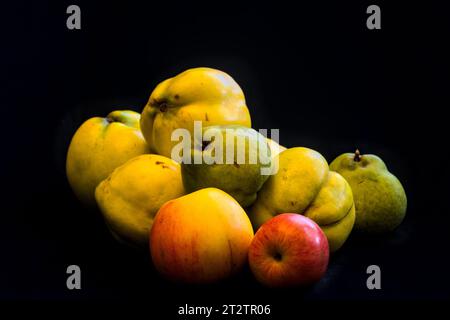 une nature morte avec coings et poires et pommes et fond noir Banque D'Images