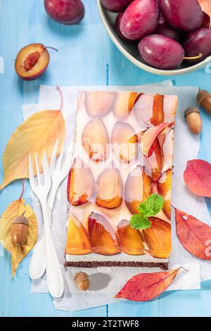 Savoureux gâteau éponge aux prunes fait de chocolat, crème et fruits. Gâteau éponge avec prunes. Banque D'Images