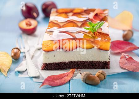 Gâteau éponge aux prunes fait maison à base de chocolat, crème et fruits. Gâteau éponge maison. Banque D'Images