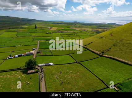 Paysage Ruaral de l'île de Terceira, Açores Banque D'Images