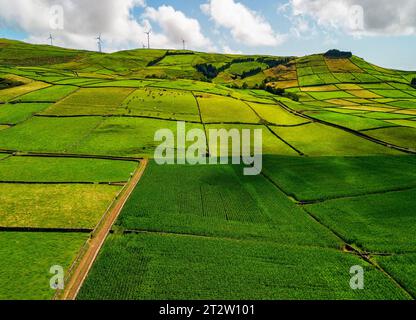 Paysage Ruaral de l'île de Terceira, Açores Banque D'Images