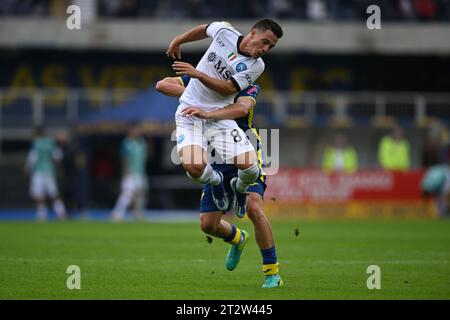 Giacomo Raspadori (Napoli)Pawel Marek Dawidowicz (Hellas Verona) lors du match italien 'Serie A' entre Hellas Verona 1-3 Napoli au stade Marcantonio Bentegodi le 21 octobre 2023 à Vérone, Italie. Crédit : Maurizio Borsari/AFLO/Alamy Live News Banque D'Images