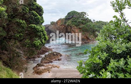 Bay of Islands, Motuarohia Island (également connue sous le nom de Roberton Island), Nouvelle-Zélande Banque D'Images