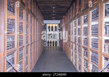 Intérieur de cave à vin avec des bouteilles de vin sur des étagères dans une rangée dans la cour, ville de Funchal sur l'île de Madère, Portugal Banque D'Images