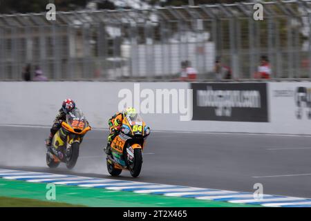 Melbourne, Australie, 22 octobre 2023. Fermin Aldeguer d’Espagne sur le GT Trevisan Speedup Racing Boscoscuro lors de la séance d’échauffement du MotoGP australien sur le circuit du Grand Prix de Phillip Island le 22 octobre 2023 à Melbourne, en Australie. Crédit : Ivica Glavas/Speed Media/Alamy Live News Banque D'Images