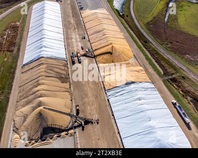 Vue de drone sur les piles de stockage de grain en cours de remplissage et de couverture Banque D'Images