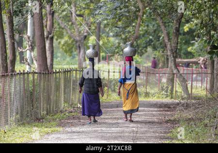 Femmes locales portant des cruches d'eau sur leur tête. Cette photo a été prise de Chittagong, Bangladesh. Banque D'Images