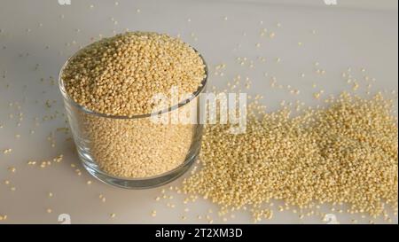 Millet proso, minuscules graines rondes avec une teinte dorée conservées dans un bol en verre rempli à ras bord. Aliment de base nutritif sans gluten et polyvalent, adapté à lui Banque D'Images