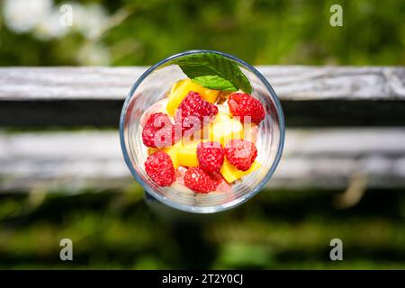 Vue de dessus verticale de yogourt aux fruits sains avec des framboises, de la mangue et de la feuille de menthe sur une clôture en bois rustique et un fond flou vert Banque D'Images