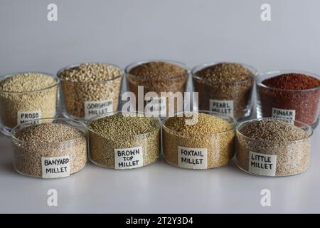 Une seule image montrant les neuf millets. Les millets sont disposés dans des bols étiquetés. Ils sont Jowar, Bajra, Ragi, Jhangora, Barri, Kangni, Ko Banque D'Images