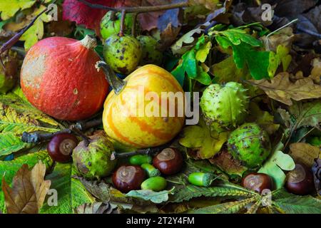 Une nature morte d'automne de citrouilles et de feuilles d'automne Banque D'Images