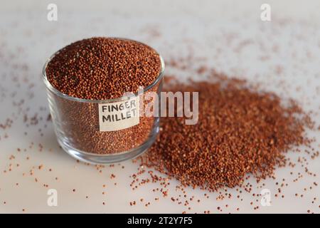 Gros plan des grains de millet de doigt conservés dans un bol en verre avec étiquette dessus et remplis à ras bord, mettant en évidence les minuscules grains sombres ressemblant à des graines de pavot Banque D'Images