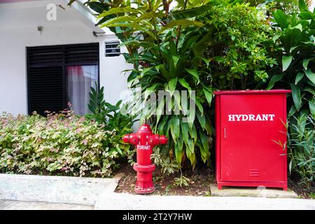 une borne d'incendie rouge et une installation de lutte contre l'incendie dans un jardin résidentiel tranquille, en harmonie avec la verdure luxuriante des environs Banque D'Images