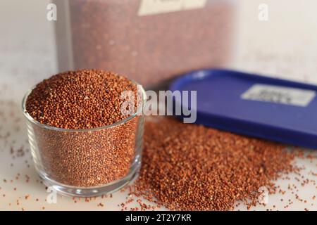 Grains de millet de doigt conservés dans un récipient de stockage et un bol en verre rempli à ras bord, mettant en évidence les minuscules grains sombres ressemblant à des graines de pavot, emballés W Banque D'Images