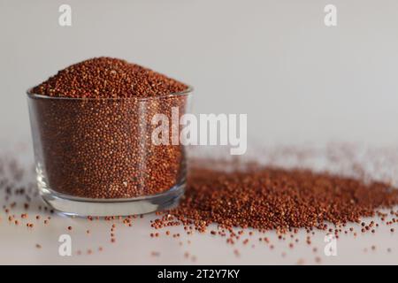 Gros plan des grains de millet des doigts conservés dans un bol en verre rempli à ras bord, mettant en évidence les minuscules grains sombres ressemblant à des graines de pavot, emballés avec du co riche Banque D'Images