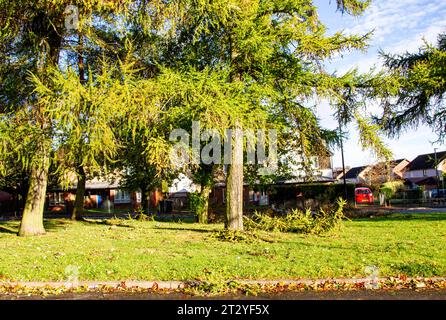 Dundee, Tayside, Écosse, Royaume-Uni. 22 octobre 2023. UK Météo : paysages d'automne dans le village Ardler de Dundee, en Écosse, après le blitz de tempête Babet du nord-est de l'Écosse. Après les tempêtes et les inondations, une combinaison de temps d'automne doux et de ciel bleu clair a créé un beau paysage automnal. Crédit : Dundee Photographics/Alamy Live News Banque D'Images