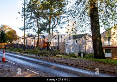 Dundee, Tayside, Écosse, Royaume-Uni. 22 octobre 2023. UK Météo : paysages d'automne dans le village Ardler de Dundee, en Écosse, après le blitz de tempête Babet du nord-est de l'Écosse. Après les tempêtes et les inondations, une combinaison de temps d'automne doux et de ciel bleu clair a créé un beau paysage automnal. Crédit : Dundee Photographics/Alamy Live News Banque D'Images
