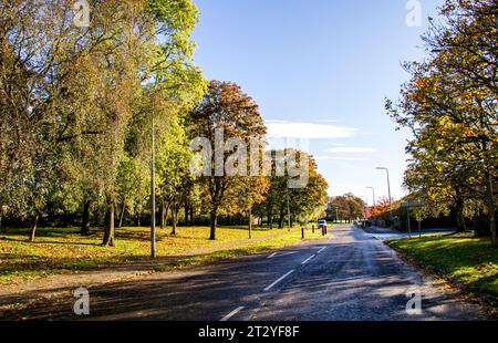 Dundee, Tayside, Écosse, Royaume-Uni. 22 octobre 2023. UK Météo : paysages d'automne dans le village Ardler de Dundee, en Écosse, après le blitz de tempête Babet du nord-est de l'Écosse. Après les tempêtes et les inondations, une combinaison de temps d'automne doux et de ciel bleu clair a créé un beau paysage automnal. Crédit : Dundee Photographics/Alamy Live News Banque D'Images