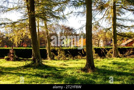 Dundee, Tayside, Écosse, Royaume-Uni. 22 octobre 2023. UK Météo : paysages d'automne dans le village Ardler de Dundee, en Écosse, après le blitz de tempête Babet du nord-est de l'Écosse. Après les tempêtes et les inondations, une combinaison de temps d'automne doux et de ciel bleu clair a créé un beau paysage automnal. Crédit : Dundee Photographics/Alamy Live News Banque D'Images