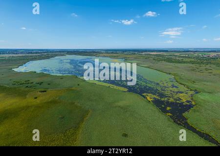 Vue aérienne de la zone des landes autour du lac Federsee près de Bad Buchau en haute Souabe Banque D'Images